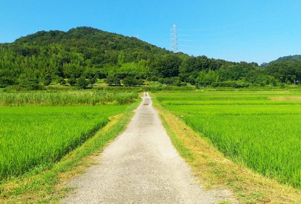 規制緩和でドローンによる農薬散布が変わる！ ドローンによる農薬散布の実践的な技術が身に付く「DJI農業ドローンオペレーター認定講座」とは？